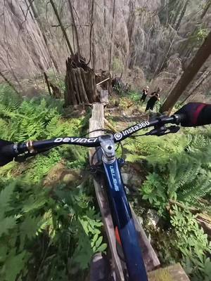 A post by @ddangerousddave on TikTok caption: Scariest line of the year! Shot on my @insta360_official X3 camera. #mtb #downhillmtb #mtblife #enduro #freeride #woodwork #skinnies #bike #Insta360X3 