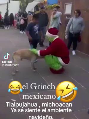 A post by @pablonunez29 on TikTok caption: #navidad #diciembre #michoacan #california #perros #firulais #grinch #parati #foryourpage #videoviral #mexico 