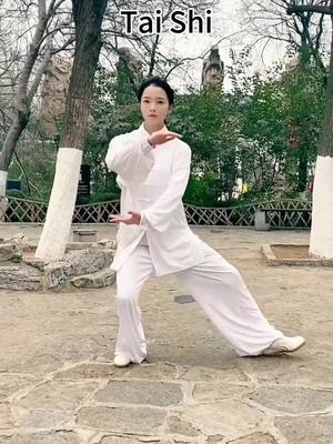 A post by @sunchkkqqs8 on TikTok caption: tai chi #taichi #taichinh #hot #chinesekongfu #chinesekungfu #foryou