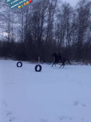 A post by @lpxblaga on TikTok caption: У меня к себе два вопроса: как можно любить такого грязного и слюнявого? и как можно его нелюбить?!🤣🙏🤩😍❤️# #абатское #лошади #ахалтекинец #любимыйносик 