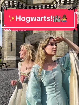 A post by @welldressedhistorian on TikTok caption: When that one friend slept in the carraige ride and has no idea where the 🏰🐎⚔️ you are. @👑Queen Astraea👑 #hogwartscastle #thatfriend #sistertrip #waitwhat #relateable 