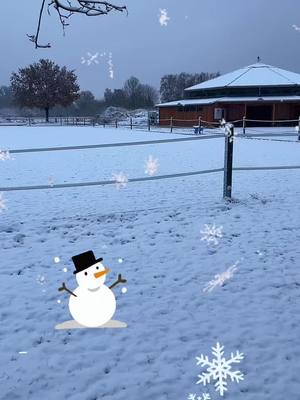 A post by @shanea_222 on TikTok caption: #viral #fyp #fypシ゚viral #viraltiktok #foryoupage #horsegirl #reitanlage #schnee #schneemann #schneemannbauen #eis #schneit #winter #wintervibes #winterishere #winterfashion