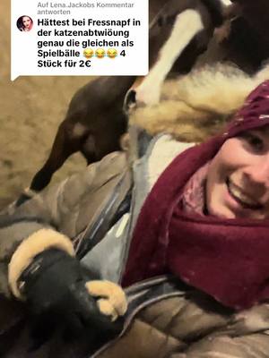 A post by @kim.sieeee on TikTok caption: Antwort auf @Lena.Jackob ich meine natürlich unter meinen TikToks, sorry 😂 #equestrian #horses #equestrianlife #equestriangirl #pferde #pferdevideo #pferdemädchen #equestrianfashion 