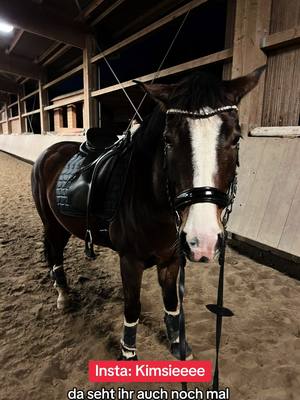 A post by @kim.sieeee on TikTok caption: Update 🫣 probiere es noch paar Mal aus, ansonsten hab ich schon den nächsten Plan 😂 #equestrian #horses #equestrianlife #equestriangirl #pferde #pferdevideo #pferdemädchen #equestrianfashion #fenwick #fenwickmask #fenwickmaske 