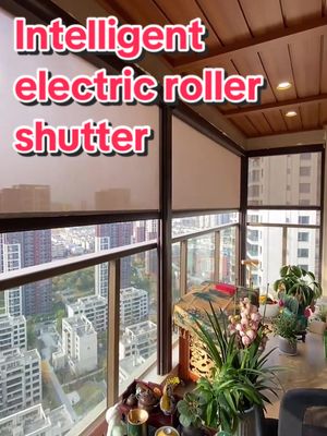 A post by @tangmeng6 on TikTok caption: Intelligent electric roller shutter. #rollershutter #rollershutters #rollershutterdoor #homemade #fyp