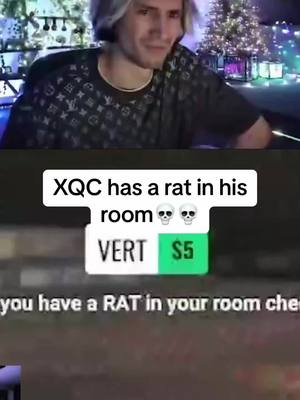 A post by @purpleskulltrooper_ on TikTok caption: XQC has a rat in his room.. #xqc #xqclips #xqcow #twitch 