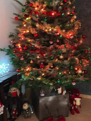 A post by @ro_mandine on TikTok caption: Quand ma maison se transforme pour Noël!! La fin 🤣😂