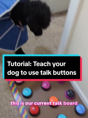 A post by @swirlingskirts on TikTok caption: Replying to @aracelymartinez167COMMIT TO THE BIT #talkingdog #talkingdogsoftiktok 