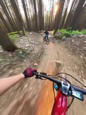 A post by @ddangerousddave on TikTok caption: Sunset lap from when the trails were dry and the days were long. Shot on the @insta360_official X3 #Insta360X3 #Insta360MTB #Insta360 #mtb #downhillmtb #mtblife #enduro #freeride #woodwork #bike #skinnies 