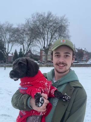 A post by @ianjames63 on TikTok caption: No pain no gain #fyp #dog #snow #Running #winter #dashingthrouthesnow #perfectweathertorun 