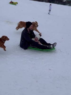 A post by @jasontodolist on TikTok caption: Harpers forst time sledding