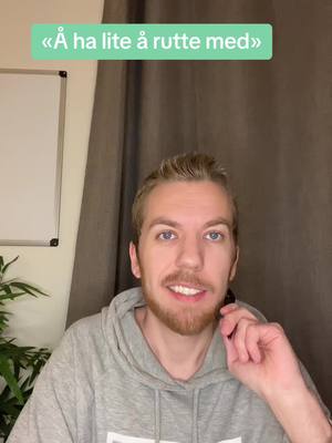 A post by @norwegiansanta on TikTok caption: #norskeuttrykk #lærenorsk 