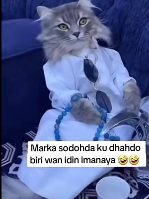 A post by @cabdulqafaar on TikTok caption: #somalitiktok #muqdishotiktok #fypシ #foryourpage #fypシ゚viral #somaliminnesota #somaliohio #