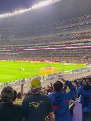 A post by @miicheelviitee on TikTok caption: Club america el mas grande  #instagram #miicheelviitee_ #tiktok #parati #flypシ #graciasporsuapoyo❣️ #clubamerica🦅💛💙 #estadioazteca