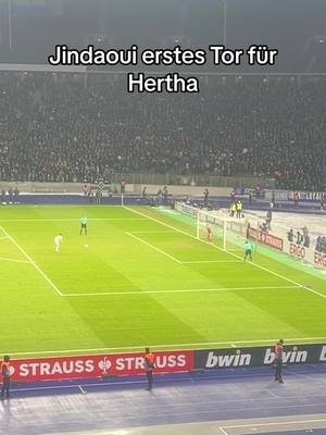 A post by @itsmyka.nfc on TikTok caption: @Jindaouis 🎭 #hertha #hsv #dfbpokal 