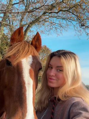 A post by @ellen.smith18 on TikTok caption: The bestest boy 🤍 #fyp #blondesdoitbetter #country #yfcdoitbest #equestrian #horse #chestnut #yfc #countrygirl #blondes #CapCut 