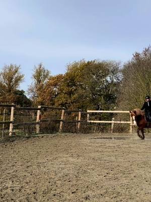 A post by @clo_eventing on TikTok caption: On est de retour 🥳 #fyp #foryou #pourtoi #dressage #horse #