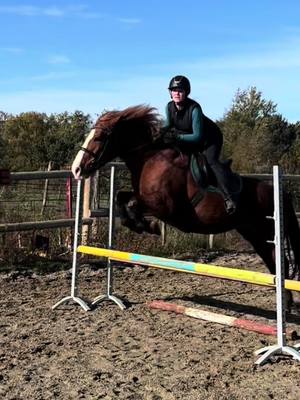 A post by @clo_eventing on TikTok caption: On reprend en douceur 🥰 #fyp #foryou #pourtoi #saut #obstacles #jump #horse 