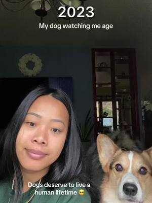 A post by @pavlovthecorgi on TikTok caption: Ok but for real why did this make me so sad esp knowing he wont be around when im an elderly person. 🤧😭