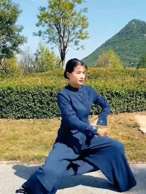 A post by @wocjinhu on TikTok caption: #taichi #chinesesekungfu #foryou 