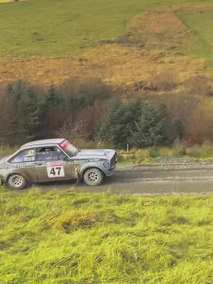 A post by @henricynwylrallying on TikTok caption: Rac rally was amazing! Love to see the stratos out #rac #rally #tiktok #fyp 