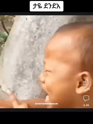 A post by @ on TikTok caption: Ethiopia  Politics  #ethiopian_tik_tok🇪🇹🇪🇹🇪🇹🇪🇹 #eritreantiktok🇪🇷🇪🇷habesha #fyp #viral #redsea 