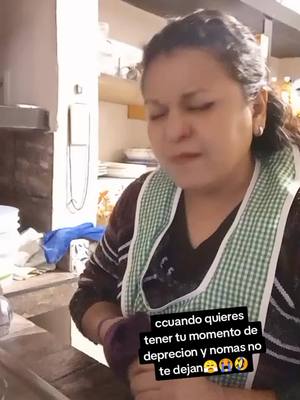 A post by @analicea26 on TikTok caption: #VoiceEffects #comedia#humor😅🤣#ladepre🥴😭 