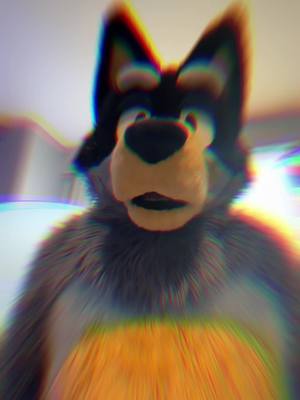 A post by @dadheeler on TikTok caption: Does that make sense? (Kids tune out if you talk too much) #banditheeler #bluey #blueytok #cosplayer #furry #cosplay #fursuit #furrytiktok #fursuiter #furryfandom 