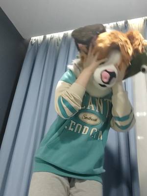 A post by @mardarface on TikTok caption: #fursuiter #furry #furryfandom #fursuit 