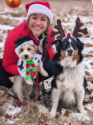 A post by @oflynnstone on TikTok caption: #BroughtToYouByGoogle Best Christmas Card EVER 😭🐾❤️ Getting the squad to look on point in one moment can be difficult… Best Take saves time and removes the stress of getting the “perfect shot”, making the entire process more fun and creative.  I shall be using @Google Pixel to capture future Christmas Cards and group photos from now on 🤝 #TeamPixel 