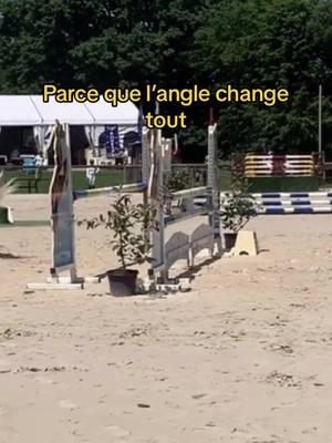 A post by @justinealet_ on TikTok caption: On dirait une petit p2 sur la video 🤡 #equitation #chevaux #poneys #cso #jumping #hors 