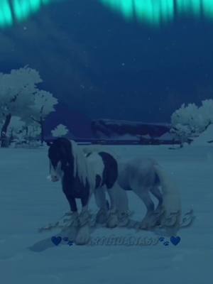 A post by @_.edits._756 on TikTok caption: having fun in sso at 2 a.m.:#sso #starstable #edit #fyp #game 