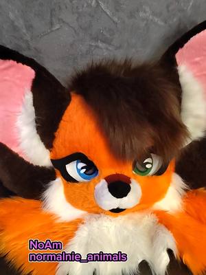 A post by @mardarface on TikTok caption: #fursuit #furryfandom #furry 