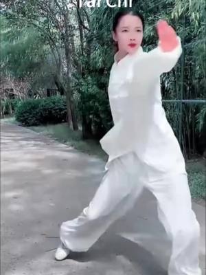 A post by @sunchkkqqs8 on TikTok caption: tai chi #taichi #taichinh #hot #chinesekongfu