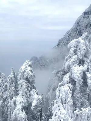 A post by @xiong.junjie on TikTok caption: Emei mount#views #china #winter 