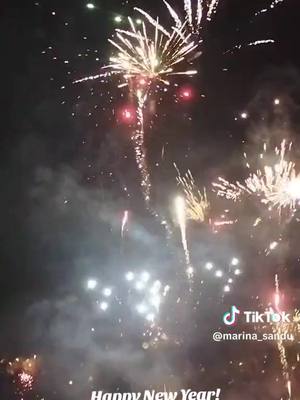 A post by @itsgramasandyhere on TikTok caption: Happy New Year 🎆 ✨✨✨Welcome 2024 🎊 @Sandu Robert @MARINA ##beautifulfireworks##family##friends##happynewyear2024##olimpyapark##olimpyaparkmünchen##fypシ゚viral##fyp##sandybepsycho