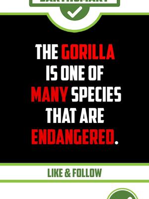 A post by @earthsmart.store on TikTok caption: As the planets most intelligent species, surely we must see the value of ALL LIFE .... ÀLL LIVES MATTER! and yet Humanity has brought countless species to the brink of extinction. We must change our way of life. #climatecrisis #climateaction #climatechange #climatechangeisreal #wildlife #Sustainability #sustainablefashion #sustainable #uksustainablebrands #uksustainability #uksustainablefashion #ukstreetwear #uklifestyle #ecofashion #ecofriendly #ecofriendlyproducts #ecofriendlyliving 