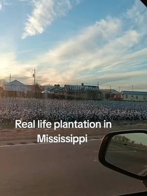 A post by @diamondntherough on TikTok caption: Hopson Plantation outside of Clarksdale MS 🤦🏾‍♀️#fypシ #viral #fyp 