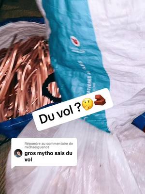 A post by @niquelesmic on TikTok caption: Réponse à @michaelguenot cuivre #fypシ #foryou #foryoupage #viral #pourtoi #cuivre #kupfer #copper 