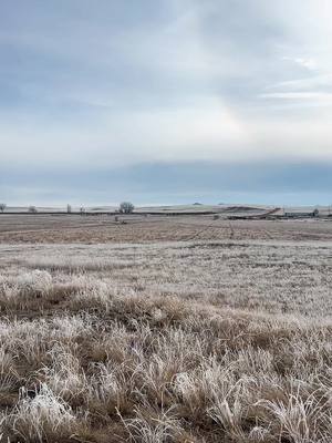 A post by @countryboyfitz on TikTok caption: Pivots In Wyoming! Never thought id build on here! #EPS #Reinke