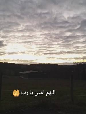 A post by @najj143 on TikTok caption: #سورة_البقرة 