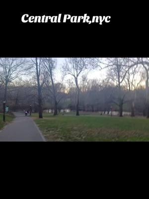 A post by @massielnh on TikTok caption: Had this footage from a walk I did recently in central park.  #nyc 