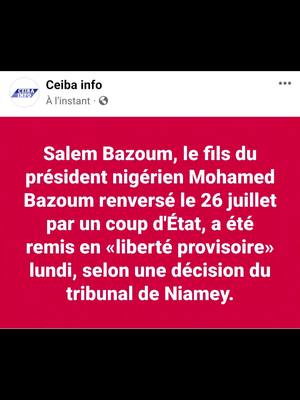 A post by @africanalyse on TikTok caption: Salem Bazoum, le fils du président nigérien Mohamed Bazoum renversé le 26 juillet par un coup d'État, a été remis en «liberté provisoire» lundi, selon une décision du tribunal de Niamey.#africanalyse #actualite #Niger 