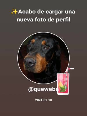 A post by @queweba1 on TikTok