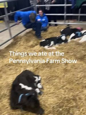 A post by @alexismanley on TikTok caption: One thing my dad is gonna do, is buy us everything from every stand !😂❤️ #spoiled #pennslyvaniafarmshow #greenscreenvideo #foryou #eating #daddydaugther #fypシ #farmlife #goodeats 