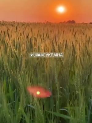 A post by @vitalik_sheh on TikTok caption: Україна/Ukraine #ukraine #ukraina #україна @Vitalik Sheh 