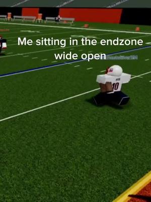 A post by @c00ldudee on TikTok caption: I have a love/hate relationship with football fusion #roblox #footballfusion #meme #fyp 