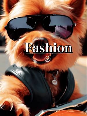 A post by @ttde342 on TikTok caption: Fashion Fur-ever: Unleashing the Stylish Side of Our Furry Friends!#pet #dogs 