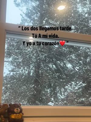 A post by @erikafajardo1992 on TikTok caption: #triste💔realidad 