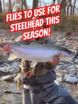 A post by @tylerolrogg on TikTok caption: try em out! #flyfishingnation #flyfishingguide #greatlakessteelhead #fyp #foryou #fishinglife #etsy #flies #flyfishing 